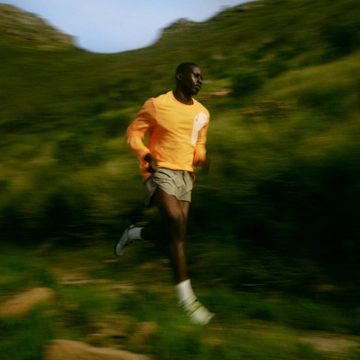 home | Peak Performance